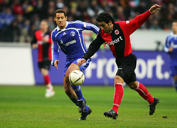 而是连续几 而是连续几